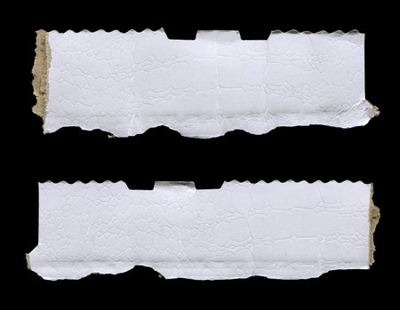 Pieces of torn paper on black background. Copy space for text.の写真素材