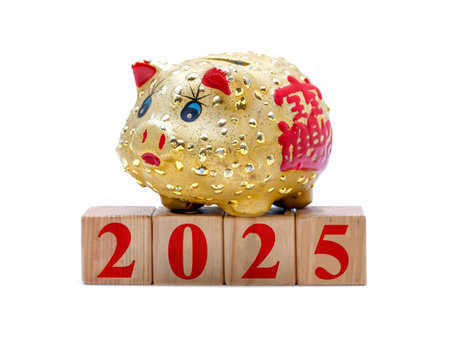 Piggy bank with the year 2025 on wooden cubes isolated on white backgroundの写真素材