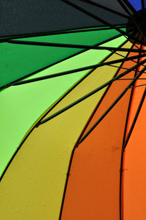 Umbrellaの写真素材