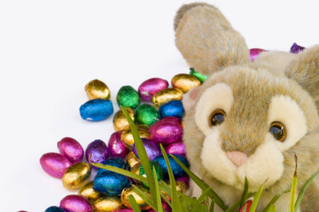 Easter Toy Bunny and Easter Eggs on Plain Background