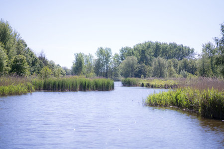 A typical landscape of the Netherlands
