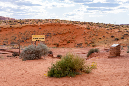 Dessert landscape in Arizona in the United States of Americaの写真素材