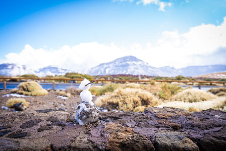 The Vulcano El Teide at Tenerife