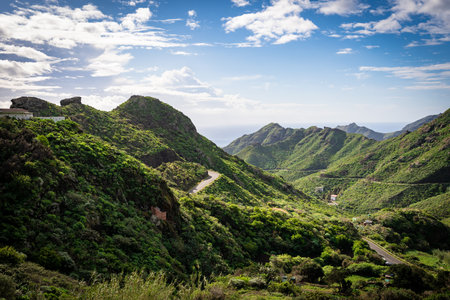 The Anaga National Park at the Island Tenerifeの写真素材