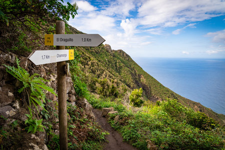 The Anaga National Park at the Island Tenerife
