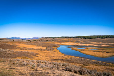 A landscape with a river in Yellowstone National Park in the United States