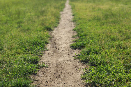 Straight meadow path surrounded by fresh green grass, blurredの写真素材