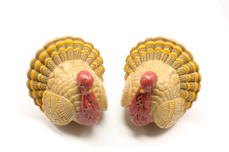 Turkey salt and pepper shakers isolated on white.