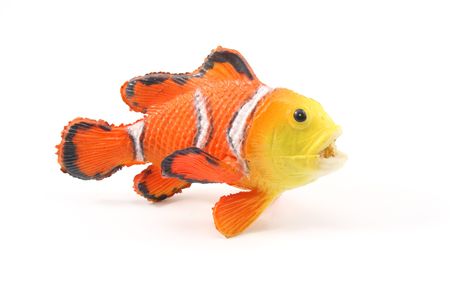 Toy Clown Fish on a white background.の写真素材