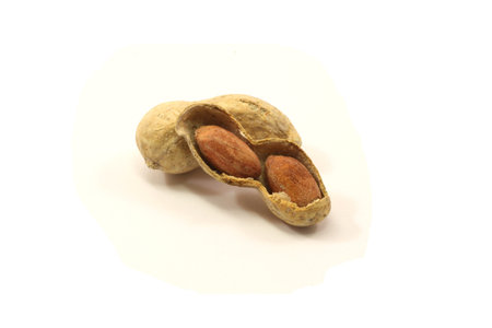 Peanuts and shell, one opened, on a white background.