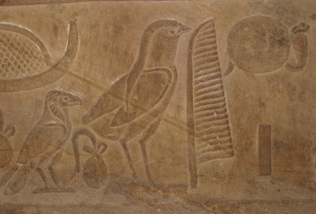 Egyptian hieroglyphic writing with Bird Symbols on an ancient ruin.