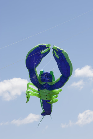 OSHKOSH, WI - JUNE 20:  A blue and green lobster kite fly high in the sky at the Kite Festival June 20, 2009 in Oshkosh, Wisconsin.のeditorial素材