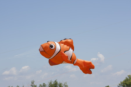 OSHKOSH, WI - JUNE 20:  An Orange and White Nemo Clownfish Kite flys high in the sky at the Kite Festival June 20, 2009 in Oshkosh, Wisconsin.のeditorial素材