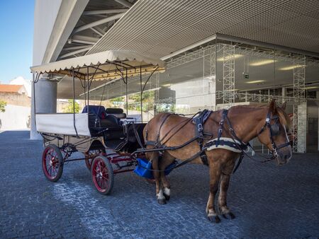 Traditional horse and carriage near Museu dos Coches in Lisbonのeditorial素材