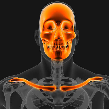 Joint pain can be caused by injury affecting any of the ligaments, bursae, or tendons surrounding the joint.の写真素材
