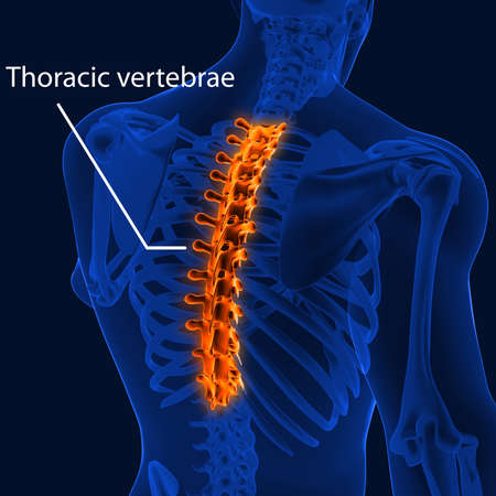 Joint pain can be caused by injury affecting any of the ligaments, bursae, or tendons surrounding the joint.の写真素材