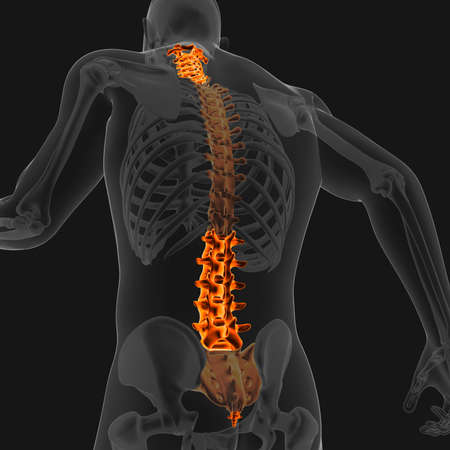 Joint pain can be caused by injury affecting any of the ligaments, bursae, or tendons surrounding the joint.の写真素材