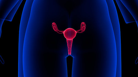Female reproductive system is designed to carry out several functions. It produces the female egg...
