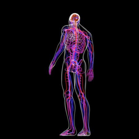Human Brain Anatomy For Medical Concept 3D Illustration