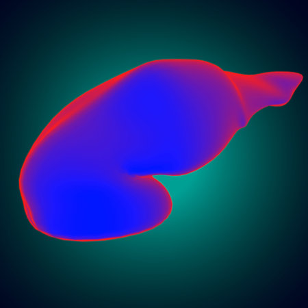 pancreas Human Digestive System Anatomy For Medical Concept 3D Illustration