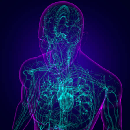 Human Heart With Circulatory System Anatomy For Medical Concept 3D Illustrationの写真素材