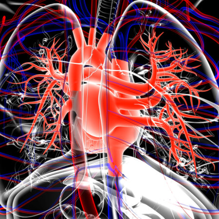 Lungs Human Respiratory System Anatomy For Medical Concept 3D Illustration