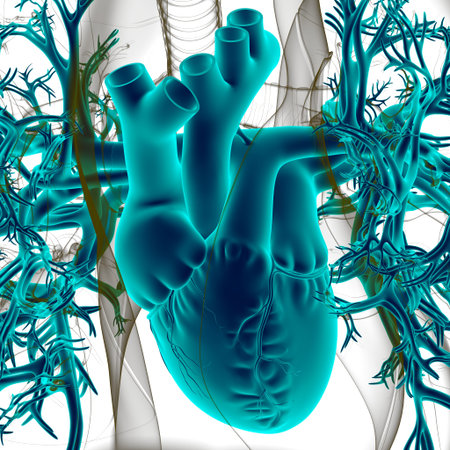 Human Heart Anatomy For Medical Concept 3D Illustration