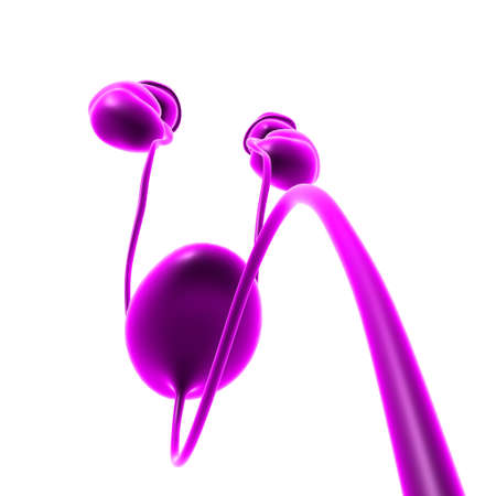 Human Urinary System Kidneys with Bladder Anatomy For Medical Concept 3D Illustrationの写真素材