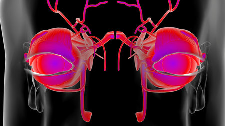 Human eye anatomy for medical concept 3D illustration