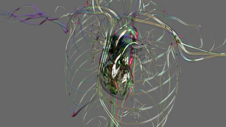 Human heart anatomy for medical concept 3D illustrationの写真素材