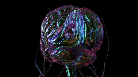 Human brain anatomy for medical concept 3D illustrationの写真素材