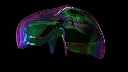 Diaphragm Human Respiratory System Anatomy For Medical Concept 3D Illustrationの写真素材
