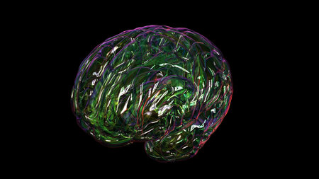 Human brain anatomy for medical concept 3D illustration