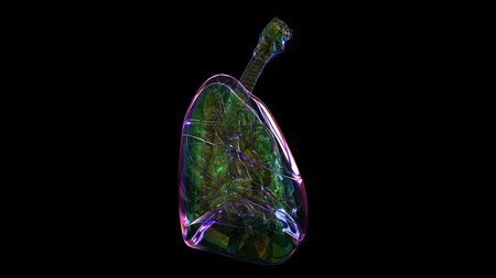 human lungs with trachea anatomy for medical concept 3D illustrationの写真素材