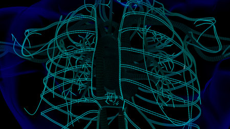 Human heart anatomy for medical concept 3D illustration with wire frame