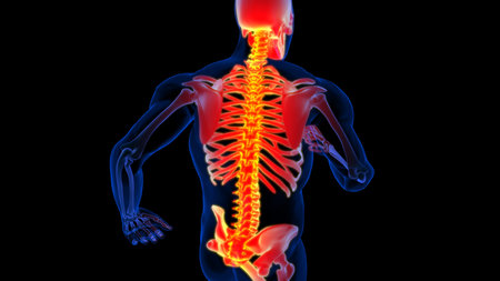 Human skeleton spine pain anatomy for medical concept 3D illustration