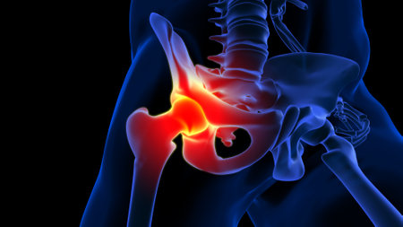 Hip joint pain anatomy for medical concept 3D illustrationの写真素材