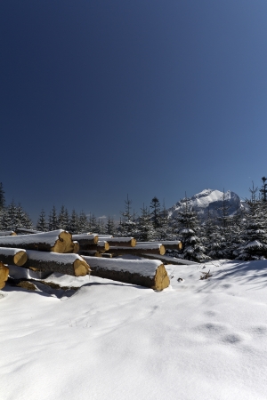 snowy winter in tatras mountains in poland  with heap of pieces of woodの写真素材