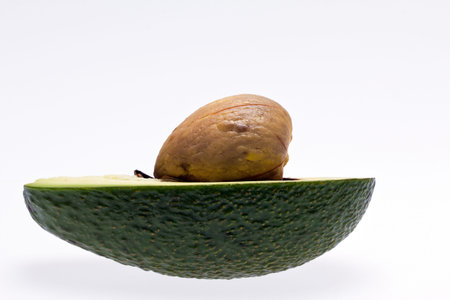 half of fruit of fresh avocado with stone isolated on white background
