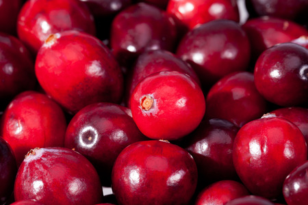 background of red fresh raw fruits of cranberries macroの写真素材