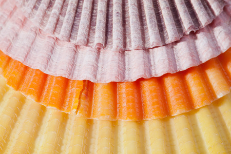background of colorful sea shells macroの写真素材