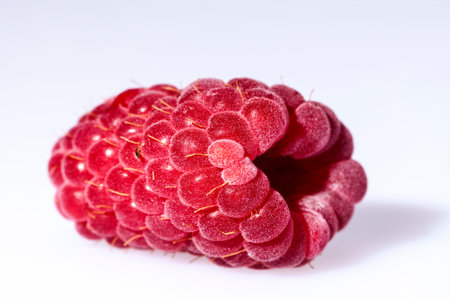 Single red raspberry isolated on white background close up