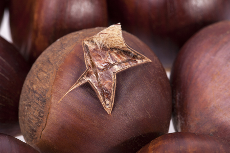roasted fruit of chestnut macroの写真素材