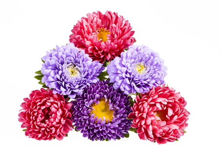 Bouquet of colorful aster flowers on white background, close upの写真素材