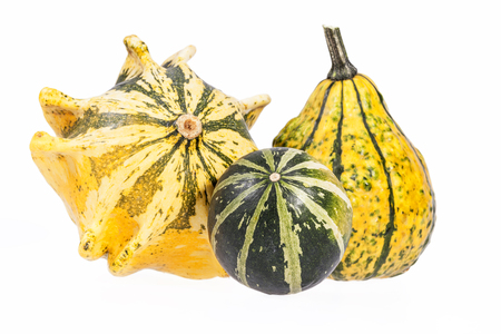 Vegetables of pumpkin decorative isolated on white backgroundの写真素材