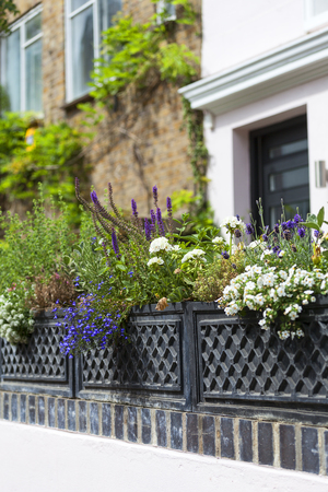 LONDON, UNITED KINGDOM - JUNE 23, 2017 : A typical street with houses in the Notting Hill districtのeditorial素材
