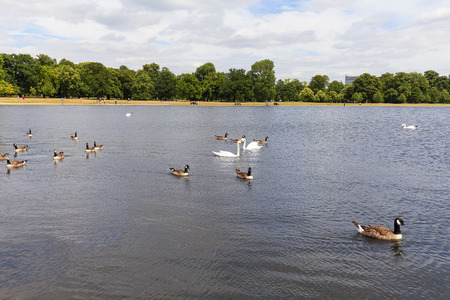 LONDON, UNITED KINGDOM - JUNE 23, 2017: Kensington Gardens, Royal Park, Long Waterのeditorial素材