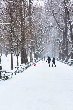 Krakow, Poland - January 17, 2021: Snowy winter in Krakow, Planty Park with snow covered trees and benches, people walkingのeditorial素材