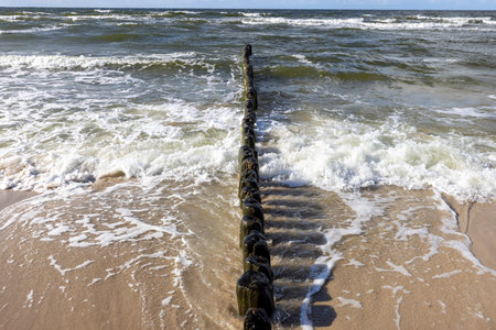 Wooden breakwater with Green algae in foaming water of Baltic Sea on sunny day, Miedzyzdroje, Wolin...