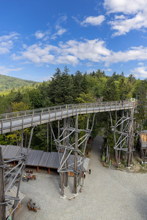 Krynica-Zdroj, Slotwiny, Beskid Mountains, Poland - September 1, 2022: Walking path in the treetops located at the top of the SÅotwiny Arena ski stationのeditorial素材
